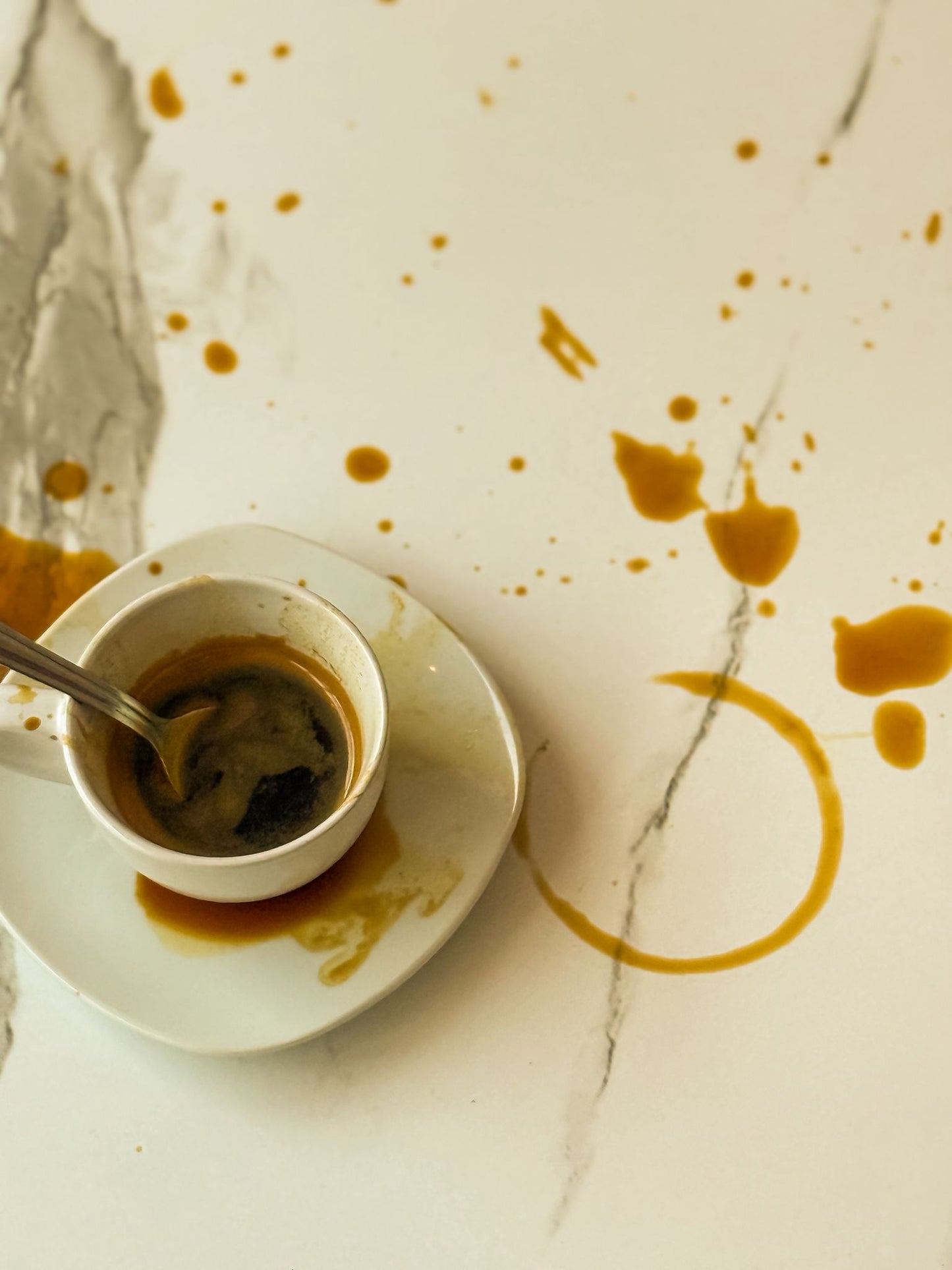 Gaia Reusable Coffee Cup